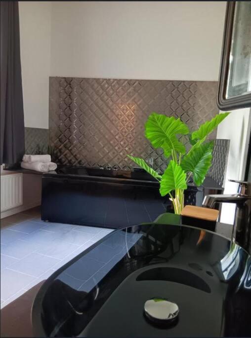 The Luxury White Suite Σαρλρουά Εξωτερικό φωτογραφία